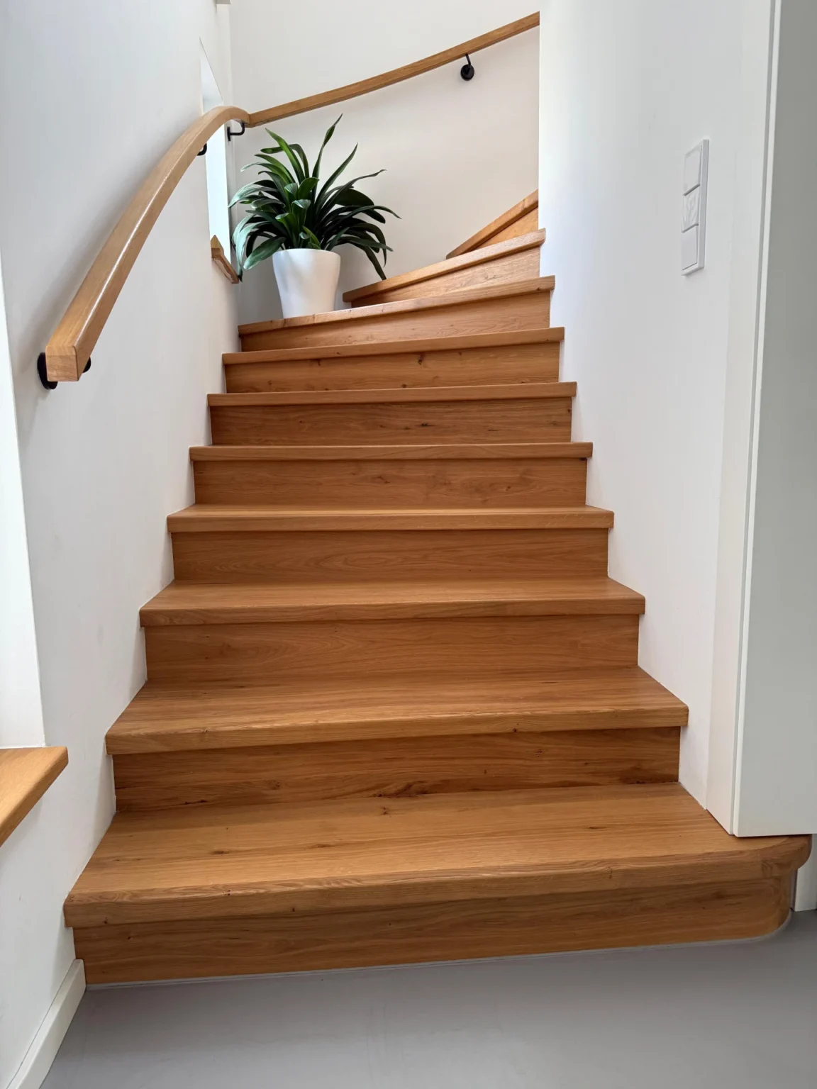 Eine moderne Holztreppe mit geschwungenem Handlauf und weißen Wänden, die zu einem Podest mit einer grünen Topfpflanze in natürlichem Licht hinaufführt.
