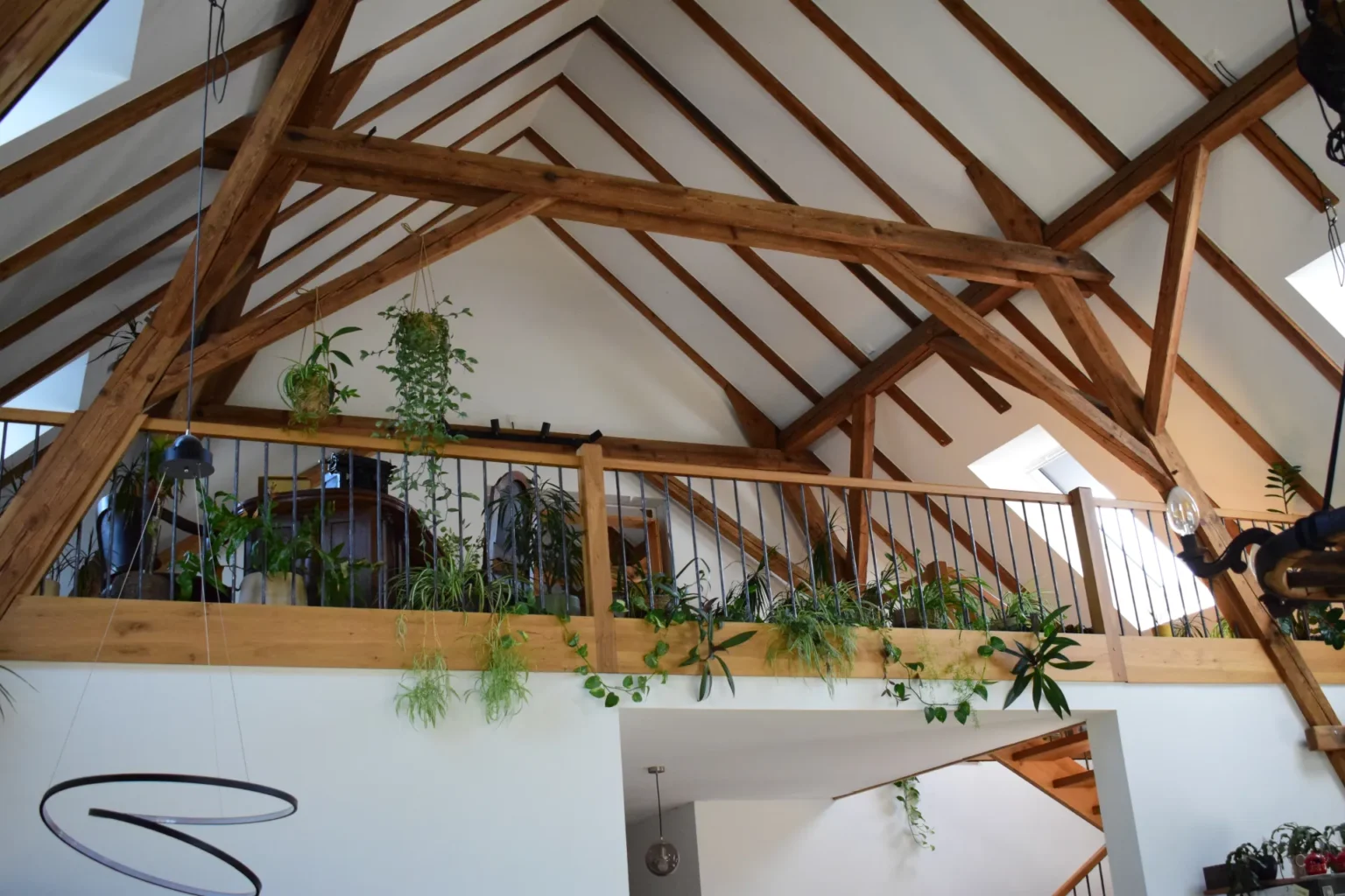 Ein Loft mit freiliegenden Holzbalken, Zimmerpflanzen, die an einer Holzgeländerleiste hängen oder darauf stehen, und natürlichem Licht, das durch Oberlichter in der Decke hereinfällt.