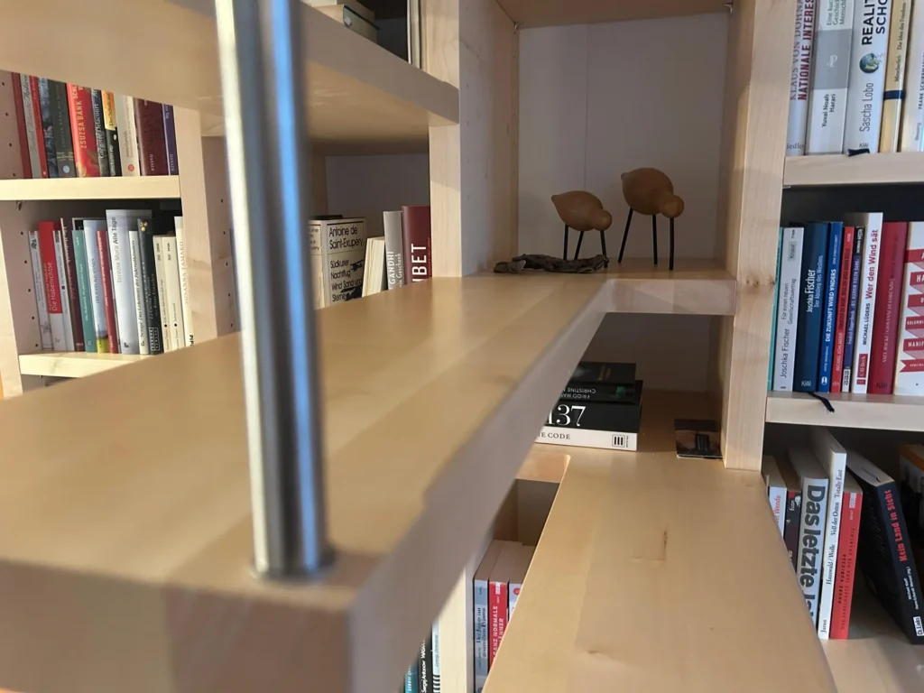 Nahaufnahme eines Bücherregals aus Holz mit Büchern und zwei kleinen Vogelskulpturen auf einem Regalbrett. Im Vordergrund verläuft vertikal eine Metallstange, die den Blick teilweise versperrt.