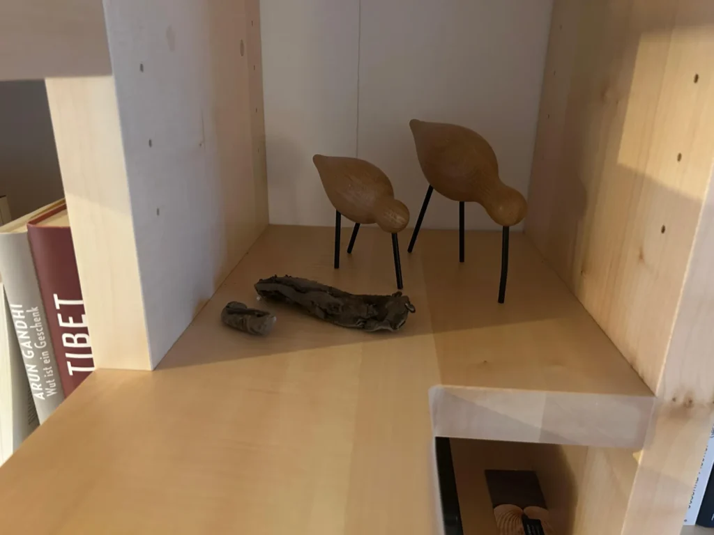 Zwei Vogelfiguren aus Holz mit schwarzen Beinen stehen auf einem Holzregal neben einem Stück Treibholz. Auf einem angrenzenden Regal links sind Bücher zu sehen.